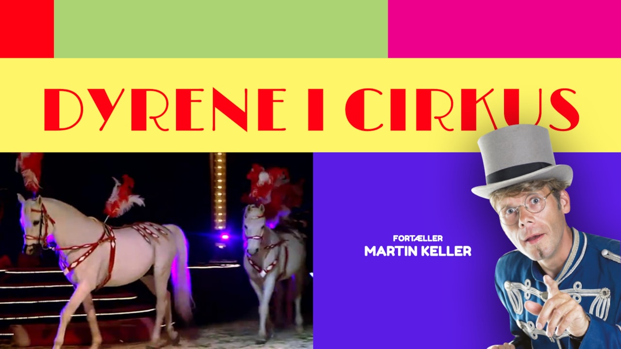 Dyrene i cirkus background