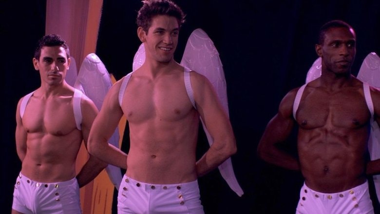 The Big Gay Musical background