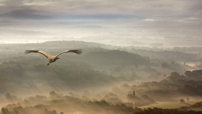 Les saisons background