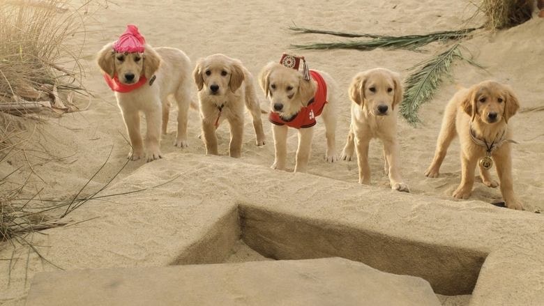 Treasure Buddies background