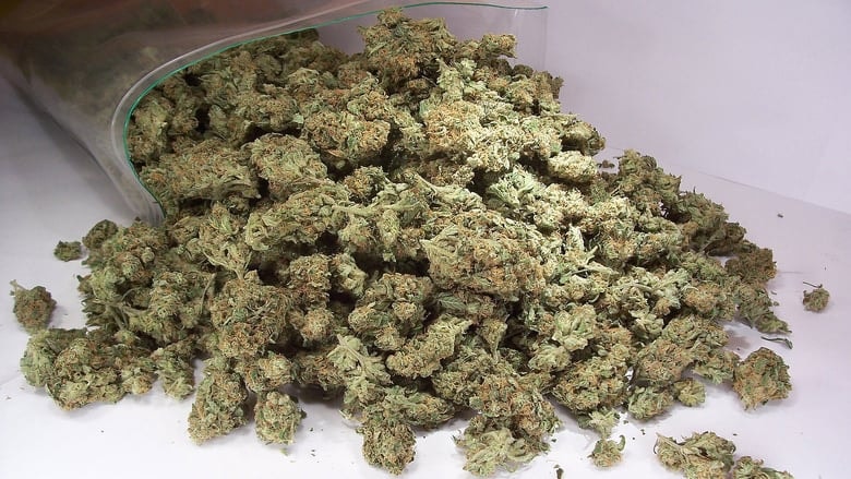 How Weed Won the West background
