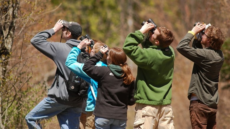 Birders: The Central Park Effect background