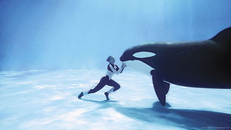 Blackfish background