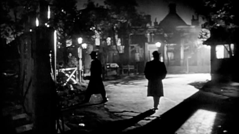 Cinematographer Style background