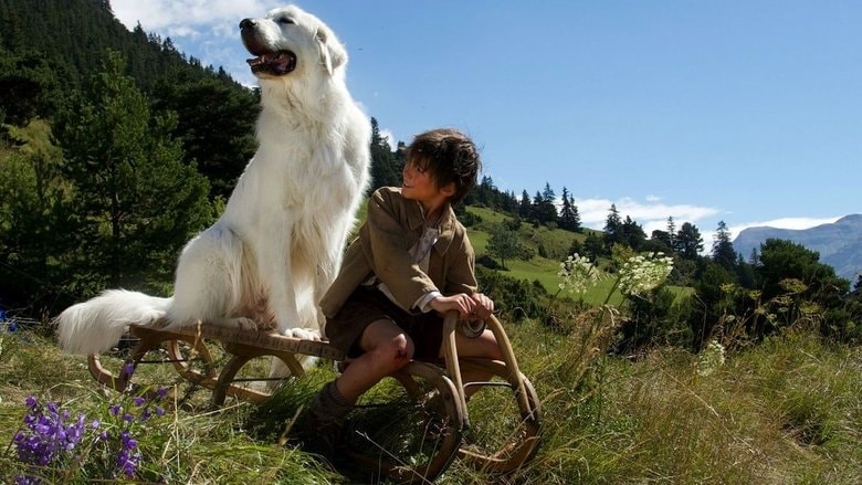 Belle & Sebastian -- The Adventure Continues background