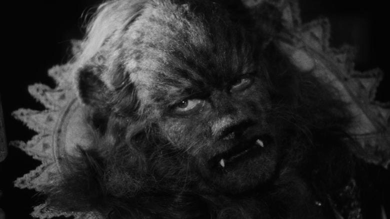 La Belle et la Bête background