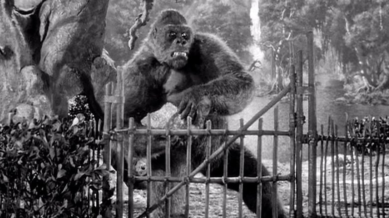 Mighty Joe Young background
