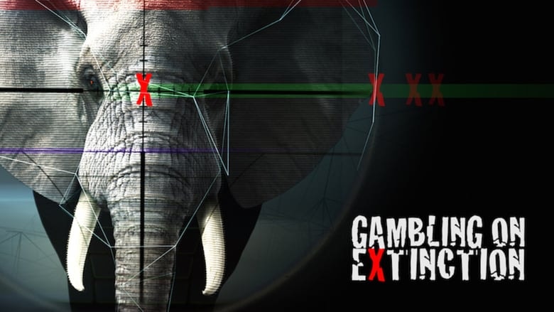 Gambling on Extinction background