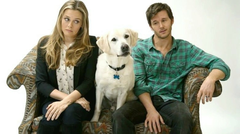 Who Gets the Dog? background