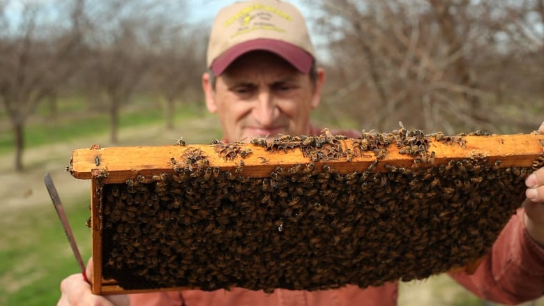 Vanishing of the Bees background