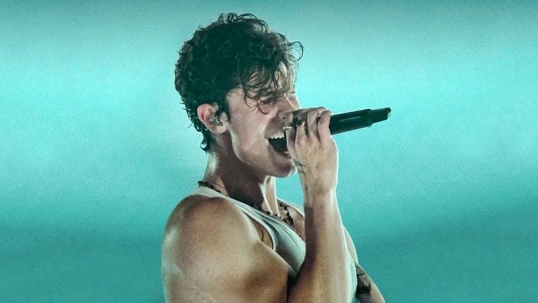 Shawn Mendes: Live in Concert background