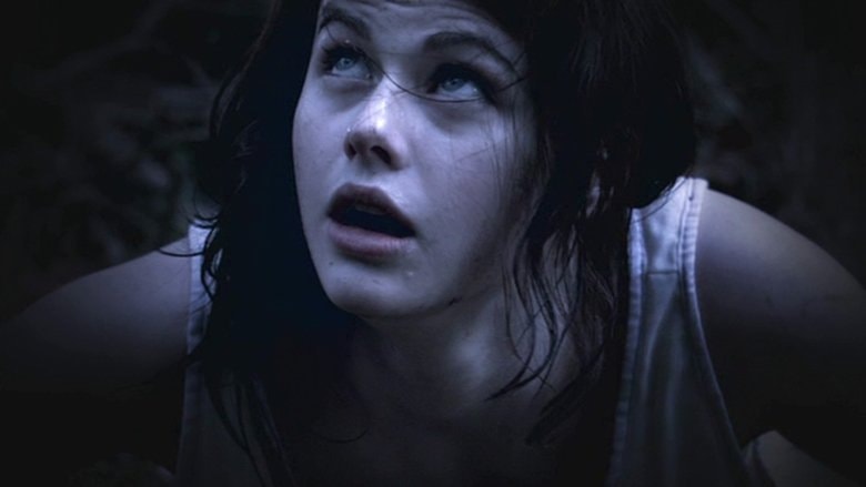 The Attic background
