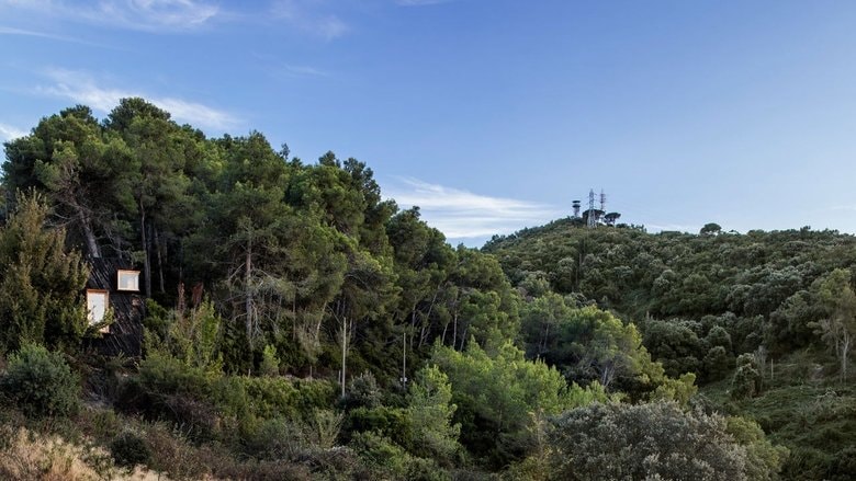 Valldaura: The Roots of Design background