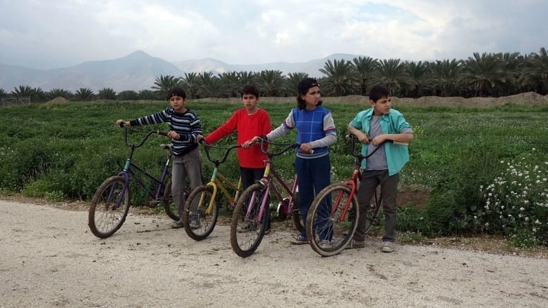 يا طير الطاير background