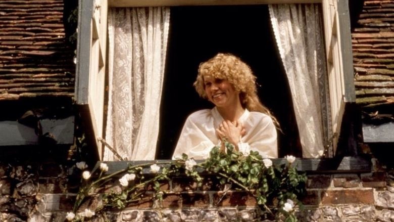 The Rainbow background