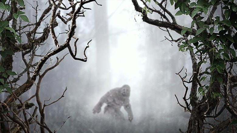 MonsterQuest background
