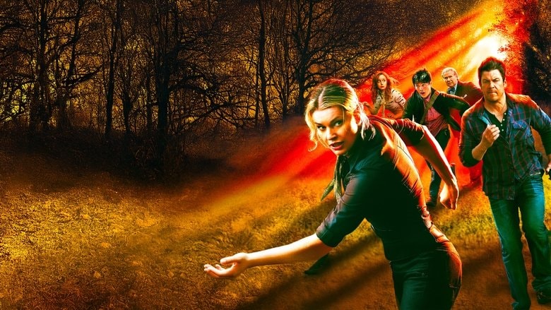 The Librarians background