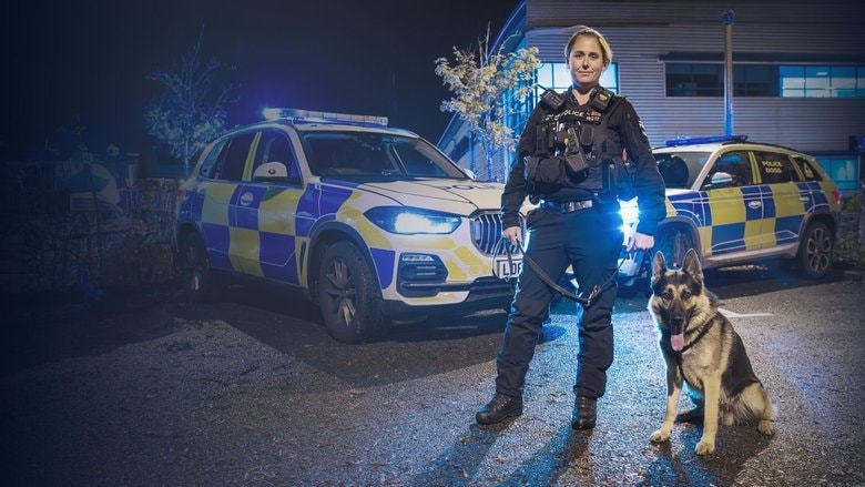 Police Interceptors background