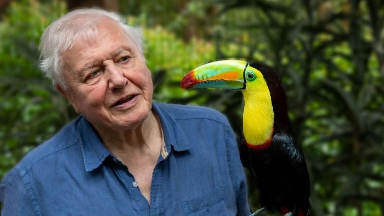 La vida a color con David Attenborough background