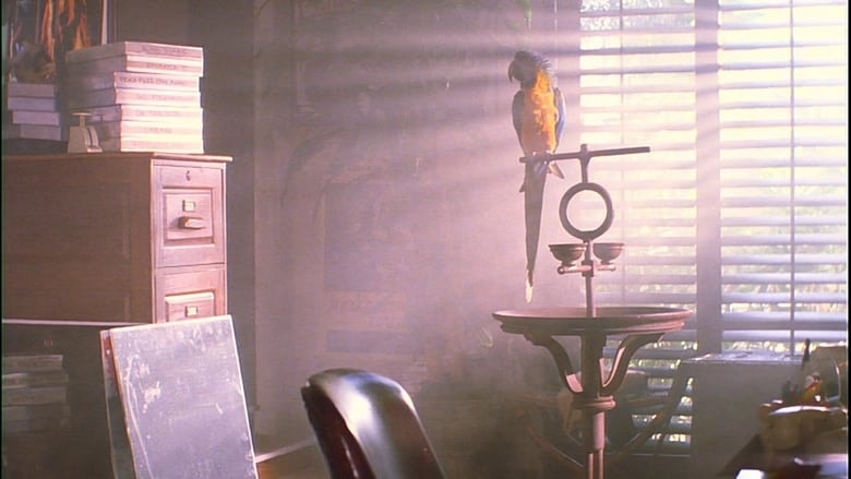 Nobody Knows Anything! background