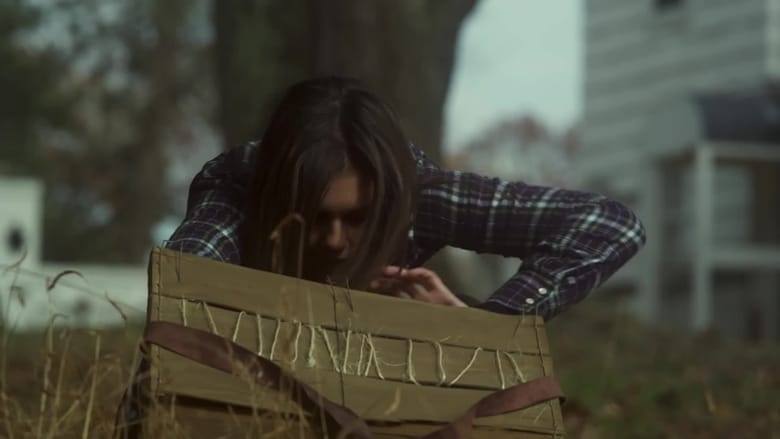 The Bleeding House background