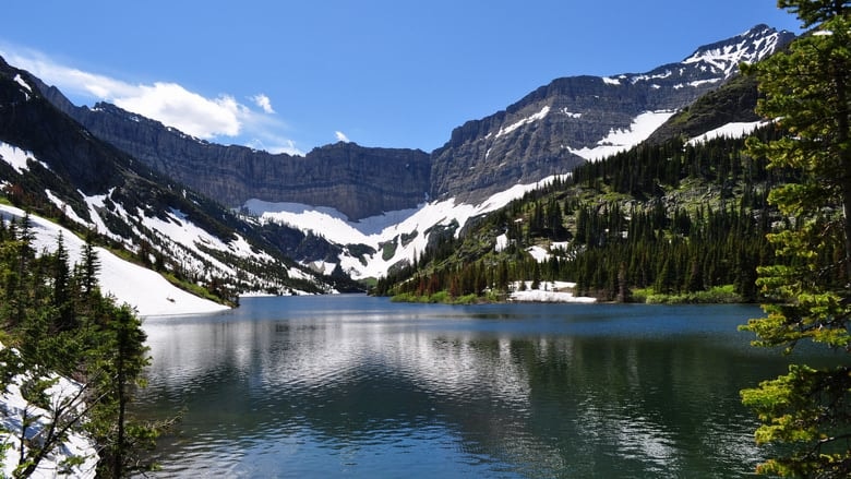 The National Parks Project background