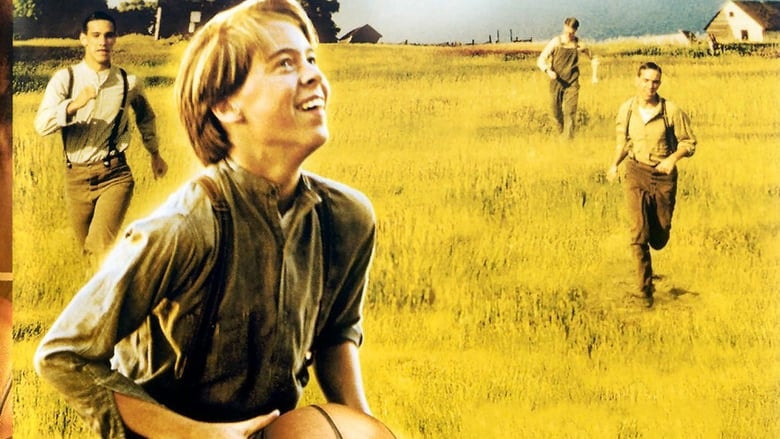 The Basket background