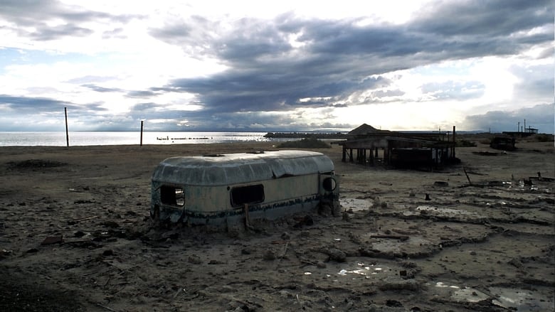 Plagues and Pleasures on the Salton Sea background