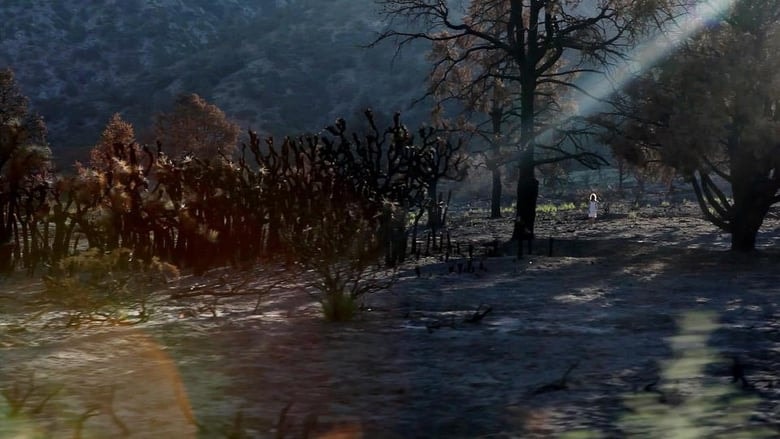 Absence background