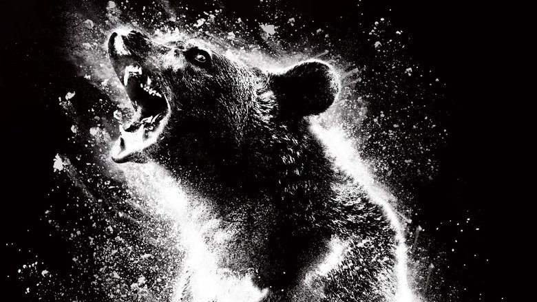 Cocaine Bear background
