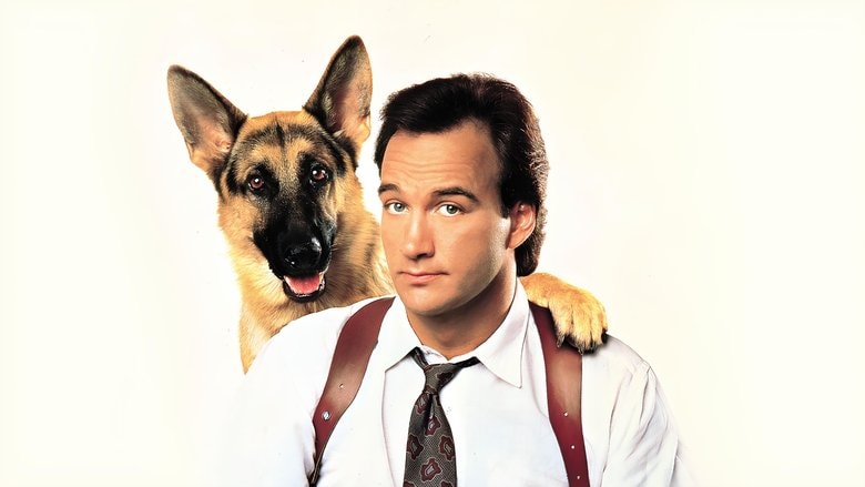 K-9 background
