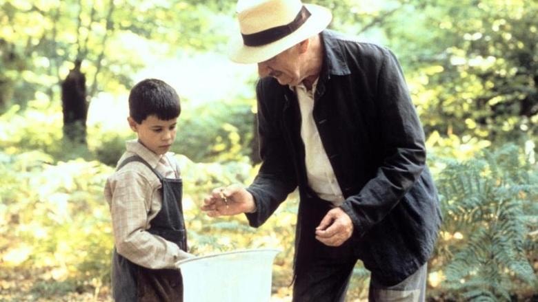 La lengua de las mariposas background