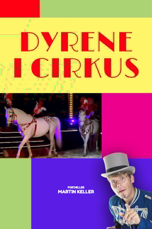 Dyrene i cirkus poster