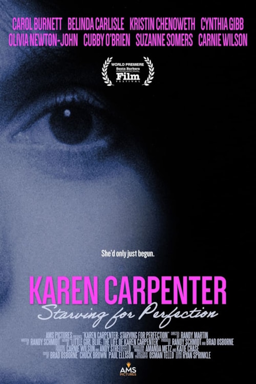 Karen Carpenter: Starving for Perfection poster
