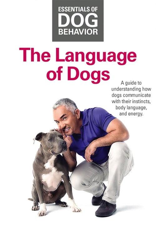 Essentials of Dog Behavior: The Language of Dogs poster