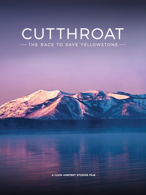 Cutthroat: The Race To Save Yellowstone poster