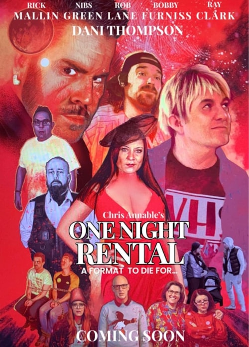 One Night Rental poster