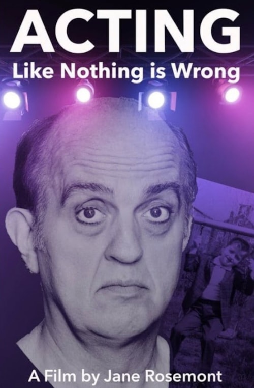 Acting Like Nothing is Wrong poster