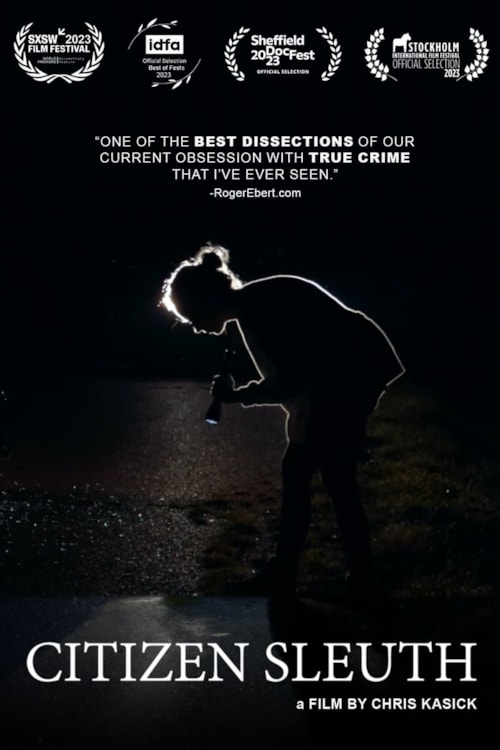 Citizen Sleuth poster