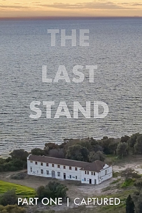 THE LAST STAND poster