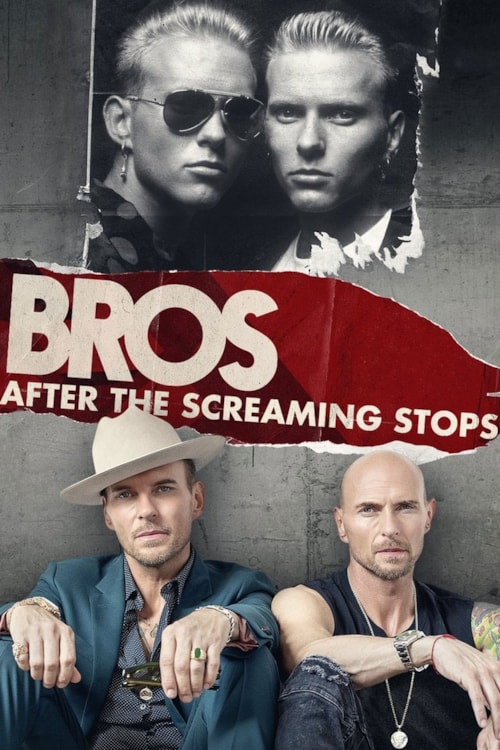 After the Screaming Stops poster