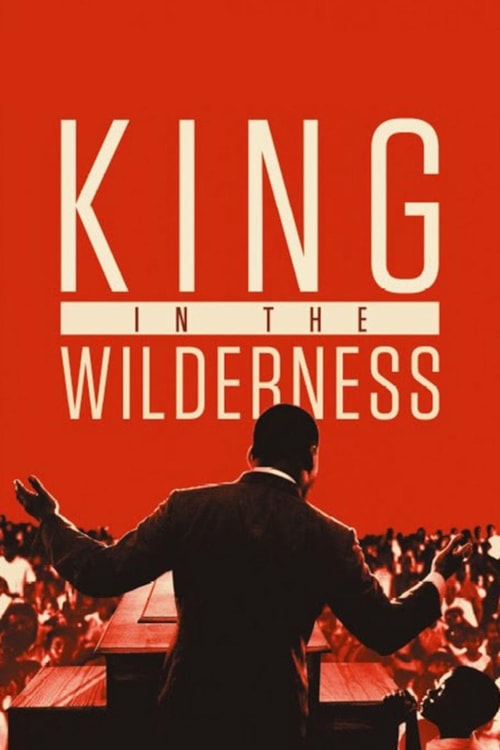 King in the Wilderness poster