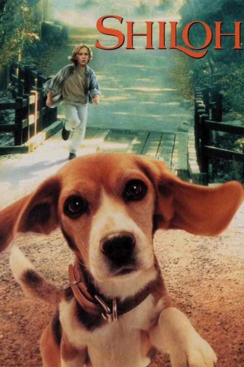 Mi Amigo Shiloh poster
