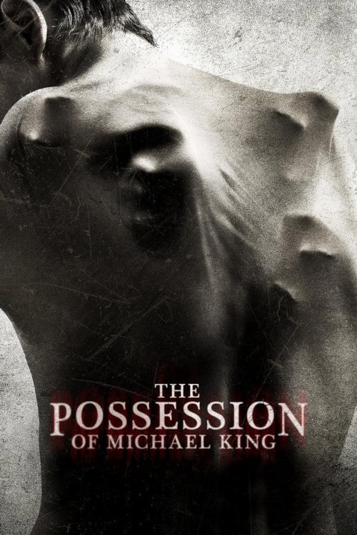 The Possession of Michael King poster