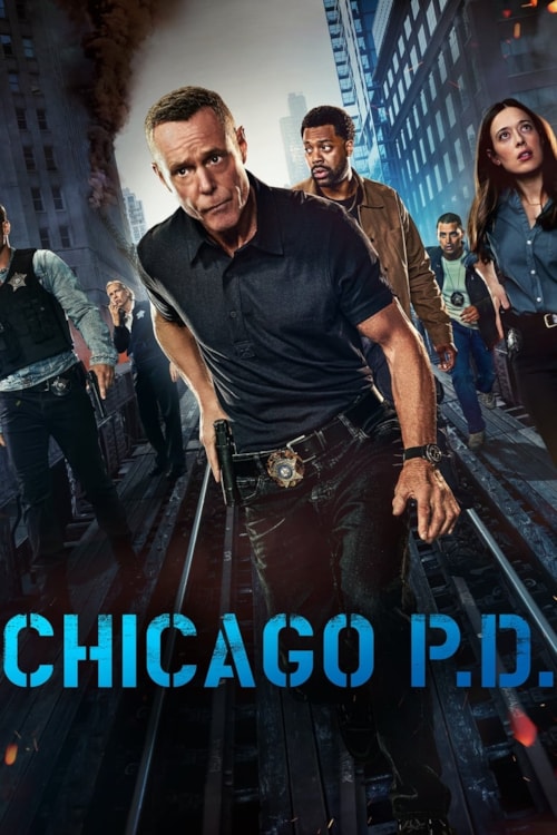 Chicago P.D. poster