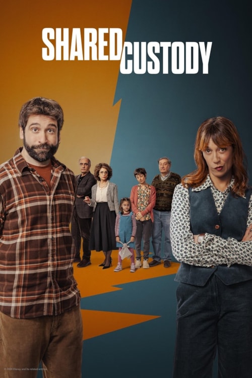 Shared Custody poster