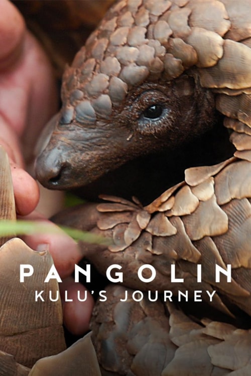 Pangolin: Kulus Weg poster