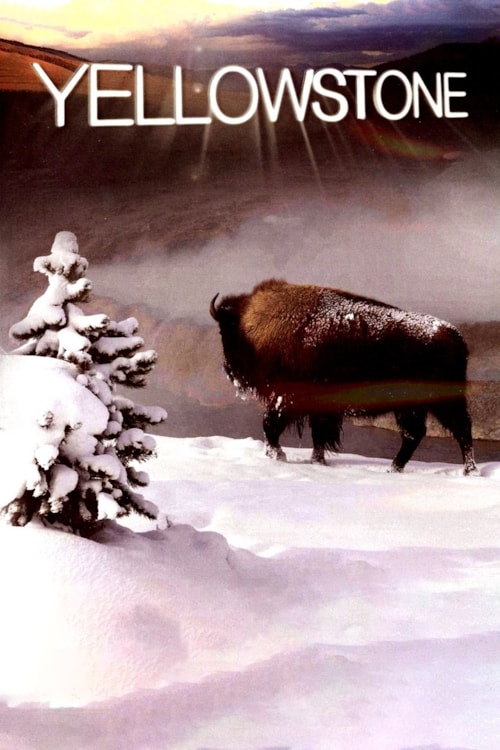 Legendäre Wildnis poster