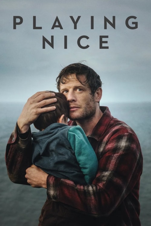 Playing Nice poster
