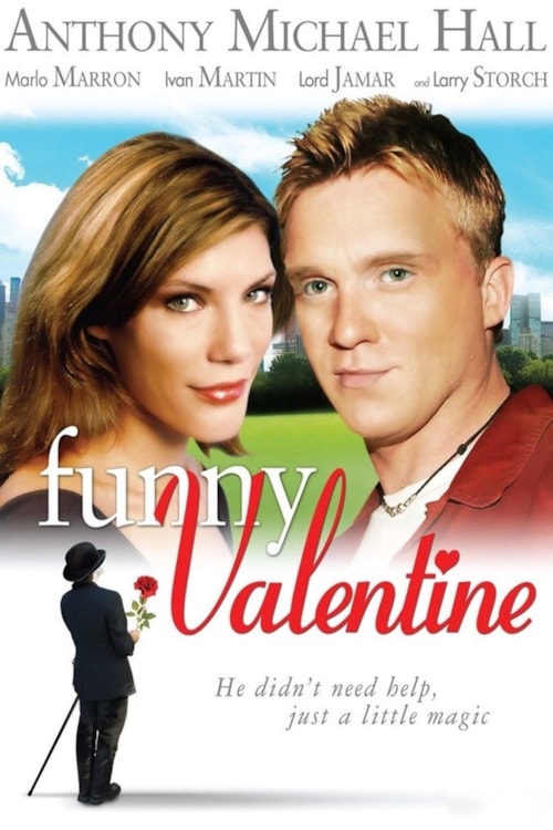 Funny Valentine poster